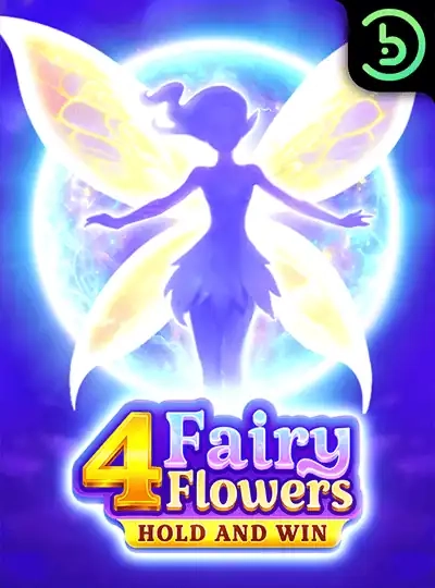 6w6